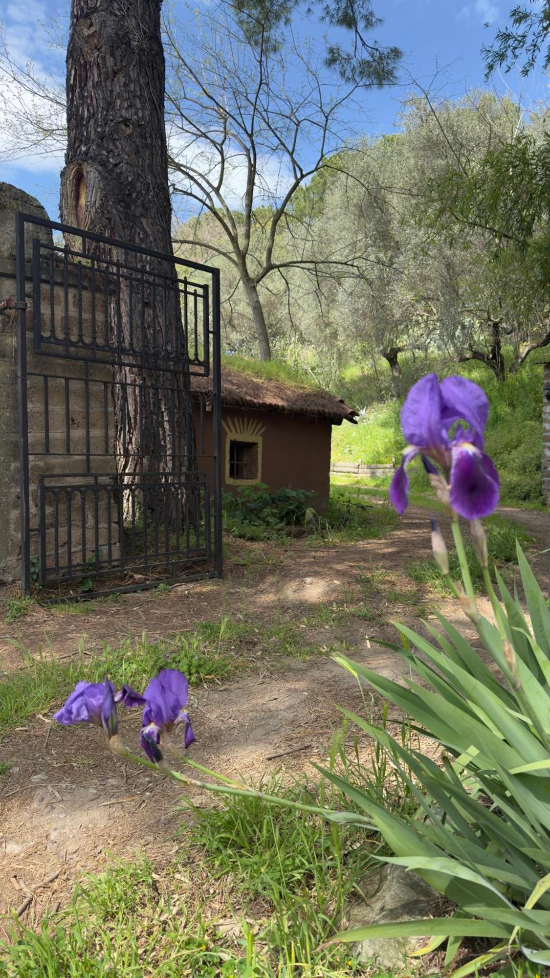 Villa La Casa del Grillo Viterbo Esterno foto