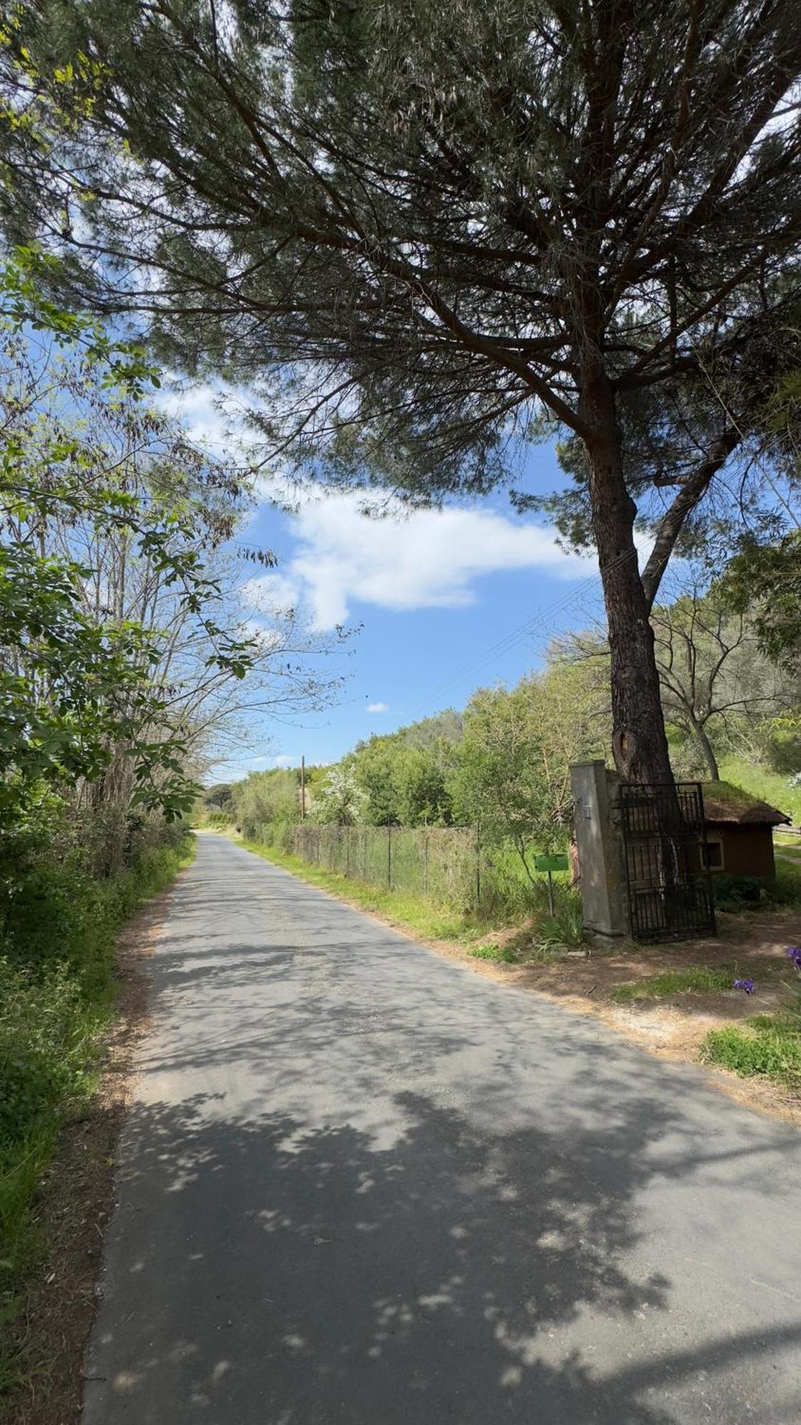 Villa La Casa del Grillo Viterbo Esterno foto